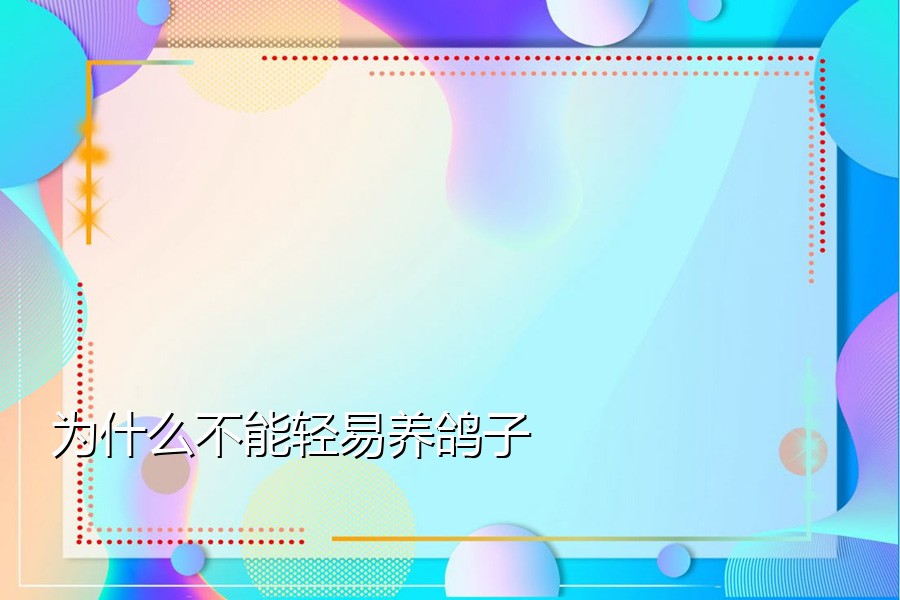 为什么不能轻易养鸽子