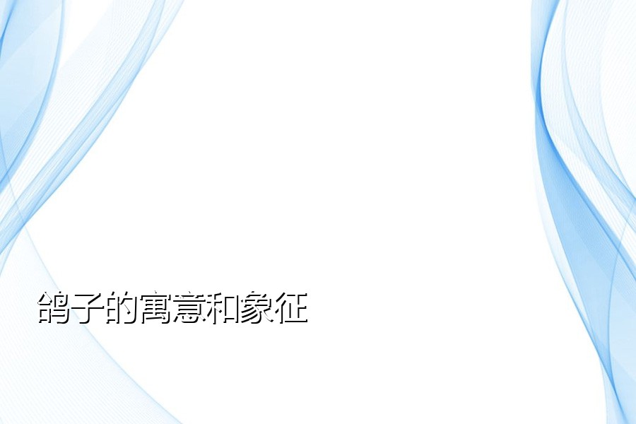 鸽子的寓意和象征