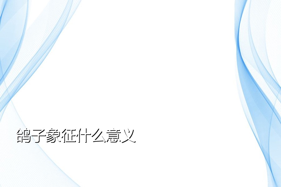 鸽子象征什么意义